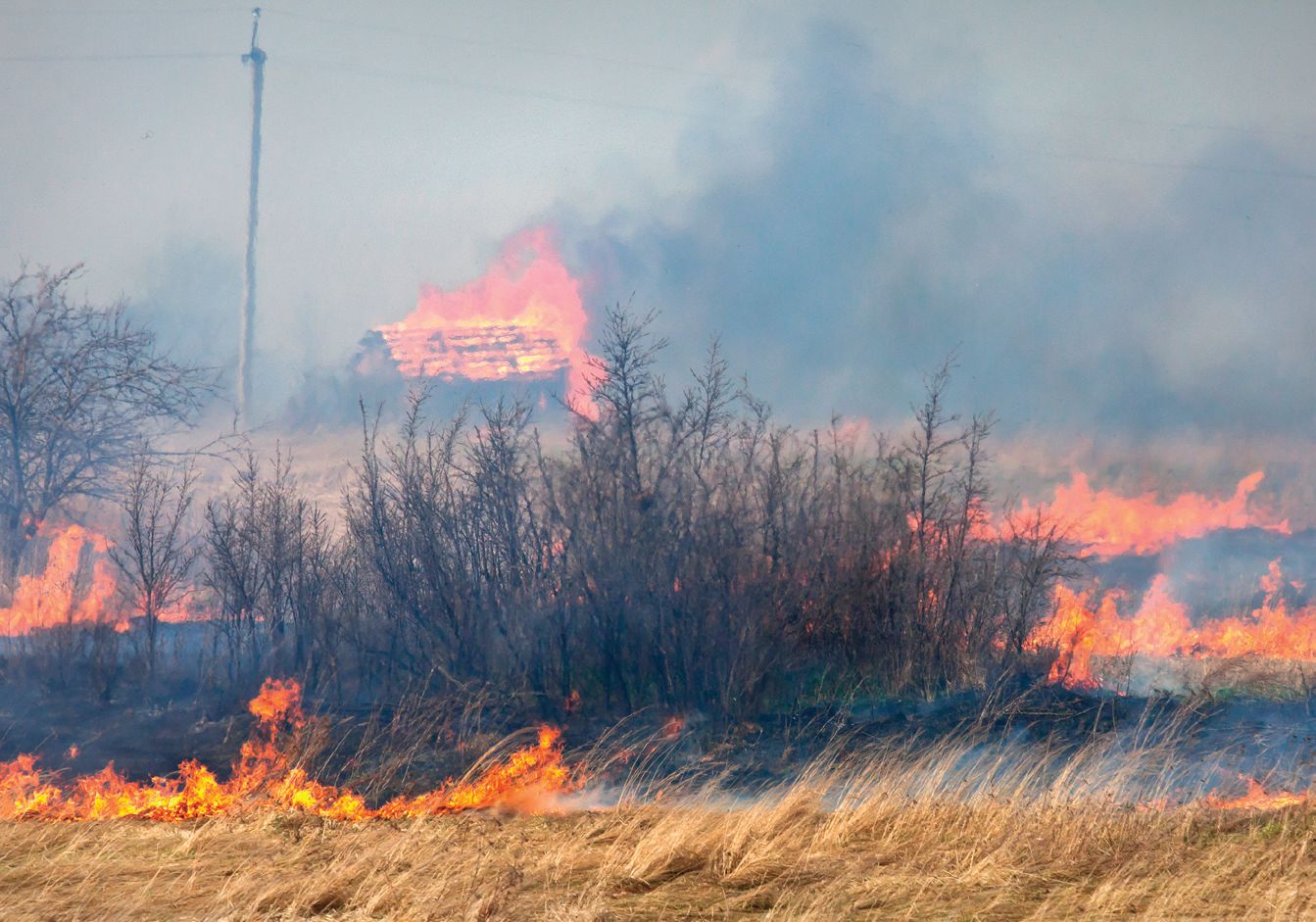 Главное управление МЧС России по Калужской области информирует: не допускайте сжигание сухой прошлогодней травы! 