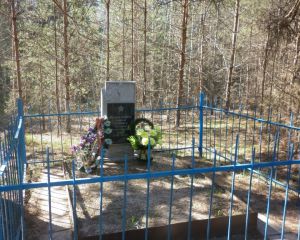 Памятник воину, павшему  в годы Великой Отечественной войны. Деревня Куява